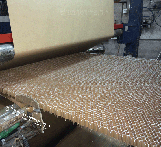 תהליך הכנת כוורת הקרטון במפעל